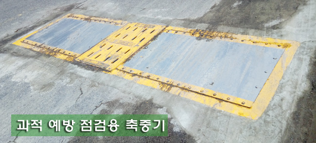 과적단속 예방용 축중기, 트럭스케일
